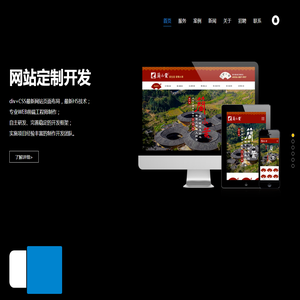 青岛网络公司