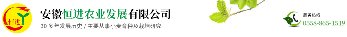 安徽恒进农业发展有限公司