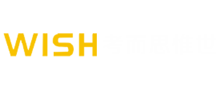 惟世国际教育