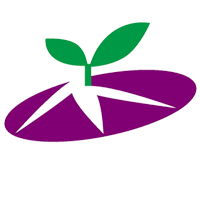 首页