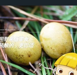 四川宏野食品有限公司
