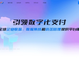 引领数字化支付