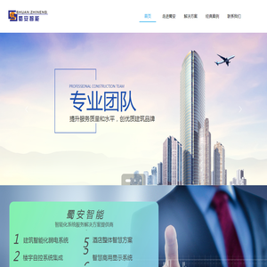 智能化系统服务解决方案提供商