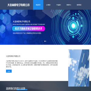 大连林原电子有限公司