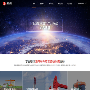 潜油往复式