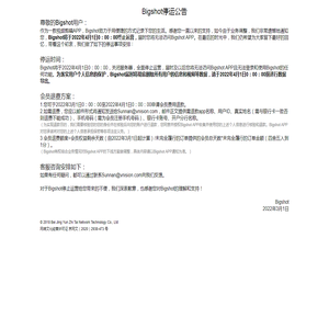 大片