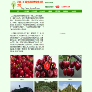 核桃苗