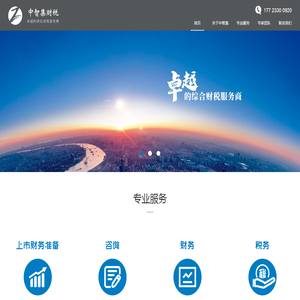 中智集财税