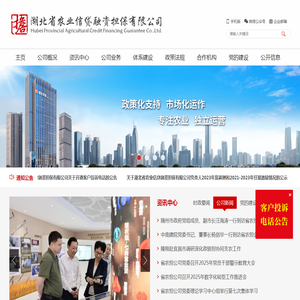 湖北省农业信贷融资担保有限公司